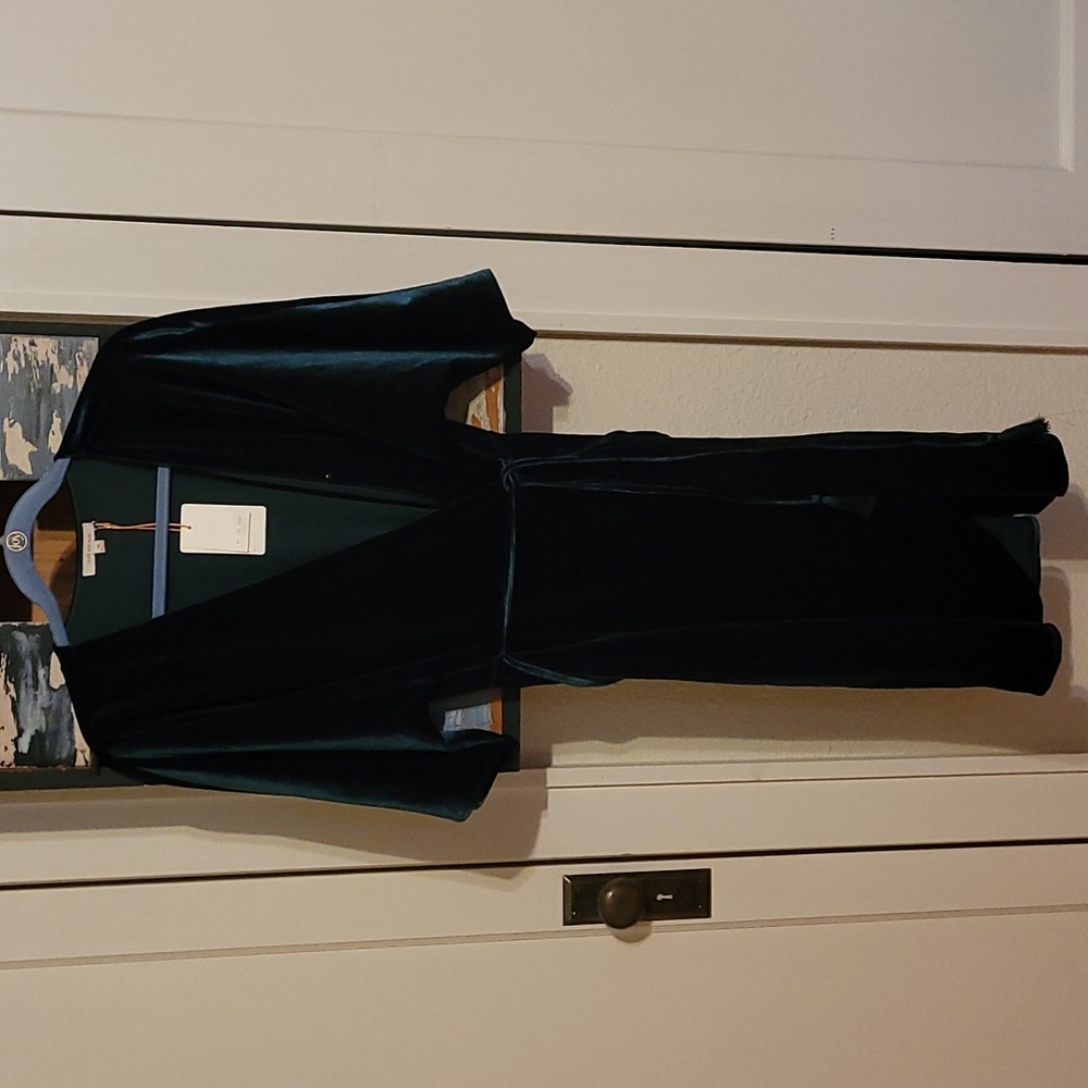 Skies are Blue velvet dress Emerald green